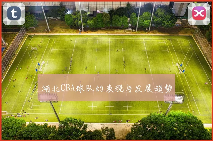 湖北CBA球队的表现与发展趋势