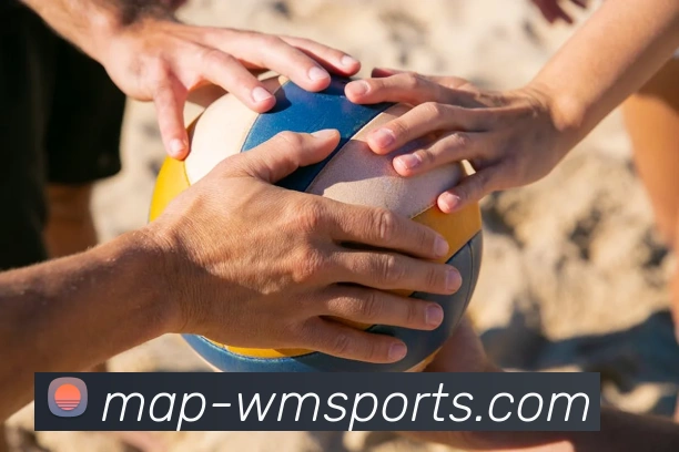 完美体育官网服务体系